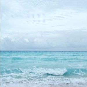 Meet your Posher, Zoe